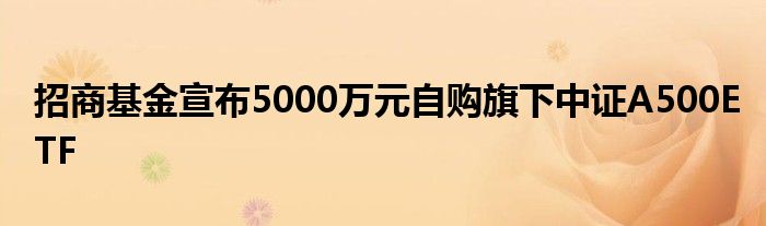 招商基金宣布5000万元自购旗下中证A500ETF