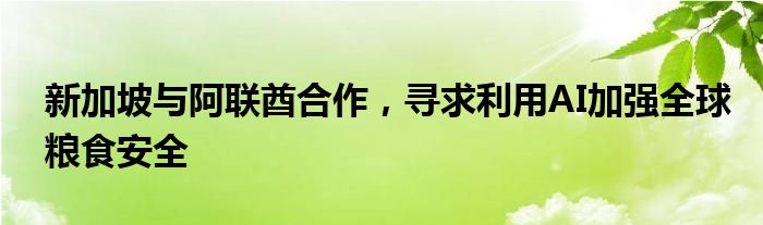 新加坡与阿联酋合作，寻求利用AI加强全球粮食安全