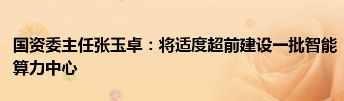 国资委主任张玉卓：将适度超前建设一批智能算力中心