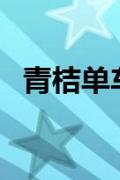 青桔单车使用指南：轻松出行，一步搞定！